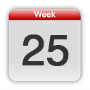 Pregnancy Diary Week 25